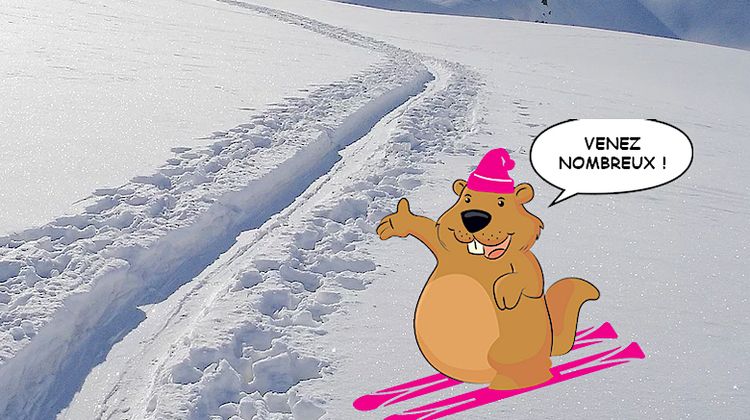 DOUBLE BRADERIE - Ski et glisse à Tarbes, déstockage d’électroménager